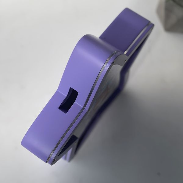 Piggy bank with capybara in purple
