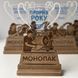Кубок-награда из дерева и акрила с логотипом фото 1