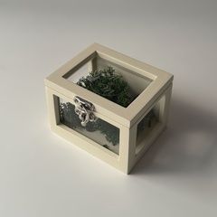 Transparent ring box "Lightness"