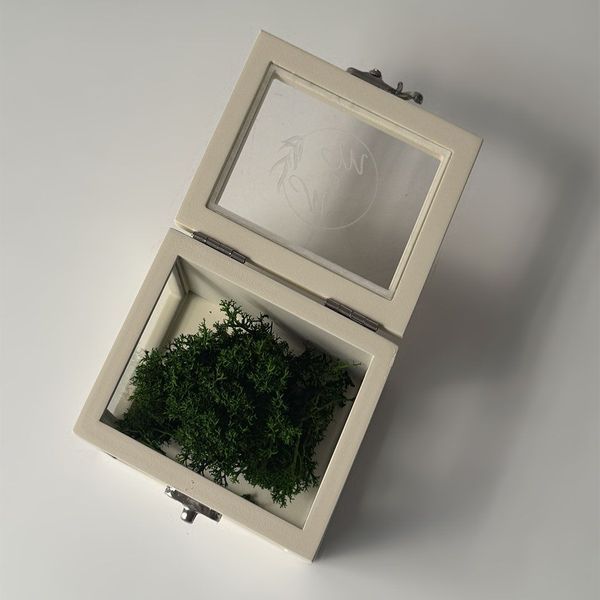 Transparent ring box "Lightness"
