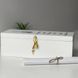 Time capsule for graduate letters with printed text